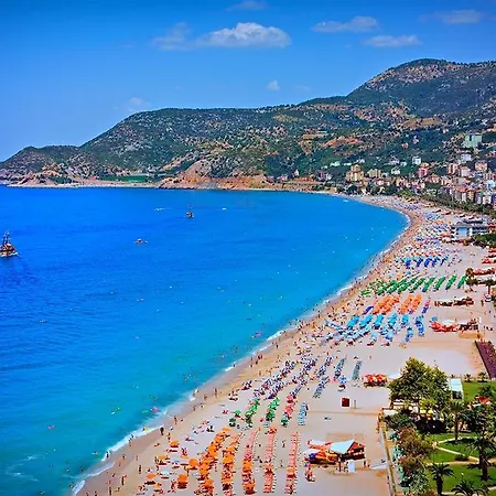 Kleopatra Fatih 4* Алания